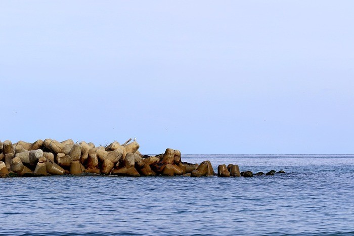 こちとはどんな魚 栄養価や旬の季節 捌き方 食べ方についても紹介 Chokomana